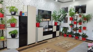 ein Raum voller Topfpflanzen auf Regalen in der Unterkunft Гостевой дом Datka in Karakol