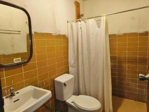 a bathroom with a toilet and a sink and a mirror at Lokal Hut Bed and Breakfast in Puerto Princesa City