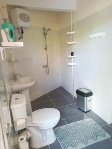 a bathroom with a toilet and a sink at Le Nid De Nicolas in Saint Esprit