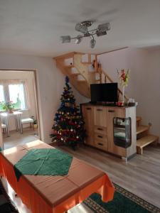 TV a/nebo společenská místnost v ubytování Domki nad potokiem