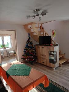 a living room with a christmas tree in a room at Domki nad potokiem in Baligród