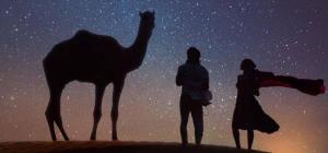 Altri animali domestici presso il bed & breakfast o nei dintorni