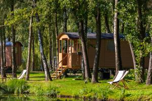 a cabin in the woods with two chairs and a tree at Glamping Limburg - nabij Nationaal Park Hoge Kempen in Kinrooi