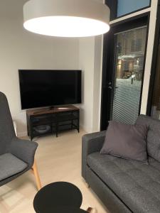 uma sala de estar com um sofá e uma televisão de ecrã plano em Levi Cranberry C1, ski-in ski-out 2 bedroom apartment in Levi center em Levi