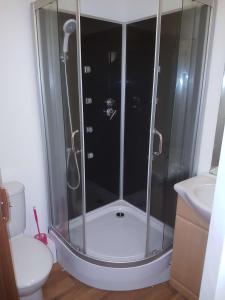 una cabina de ducha en un baño con inodoro en Luton LU2 Ensuite room, en Luton