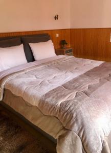 Postel nebo postele na pokoji v ubytování Apostolos Hotel