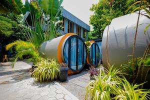 Giardino di White Rabbit Hostel