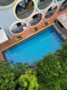 Piscina di White Rabbit Hostel o nelle vicinanze