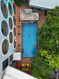 Piscina di White Rabbit Hostel o nelle vicinanze
