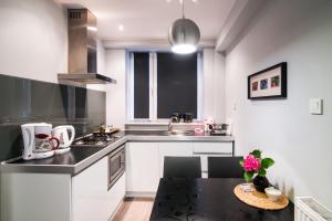 Kuchyňa alebo kuchynka v ubytovaní Apartamenty Algador
