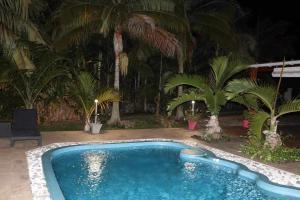 a swimming pool in a yard with palm trees at CHALET DE LISE in Bras-Panon