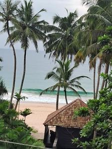 uma casa numa praia com palmeiras e o oceano em RKO Villa27 em Habaraduwa Central