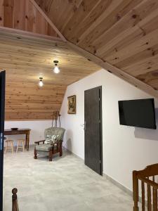 Nad Potokiem في Wapienne: غرفة معيشة مع تلفزيون بشاشة مسطحة وكرسي