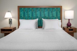 Hampton Inn & Suites Orangeburg, SC客房内的一张或多张床位