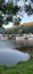 a large body of water with a town in the background at Ferienwohnung Wilk in Traben-Trarbach