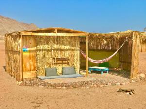 a hut with a hammock in the desert at Peace land camp in Nuweiba
