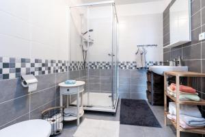 een badkamer met een douche en een wastafel bij APARTMÁN Abertamská Chata in Abertamy