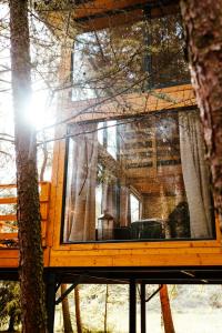 a tree house with a window in the middle at Wood Land Liswarta domki w drzewach in Popów