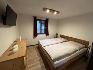 a bedroom with a bed and a desk and a television at Insel 8 in Wernigerode