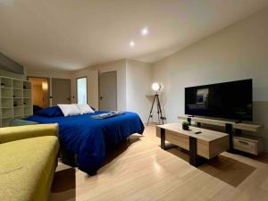 ブザンソンにあるAppartement 9 personnes / 2 Parkings privésのベッドルーム(青いベッド1台、薄型テレビ付)