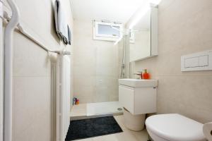 een badkamer met een toilet, een wastafel en een douche bij Zurich downtown dream in Zürich