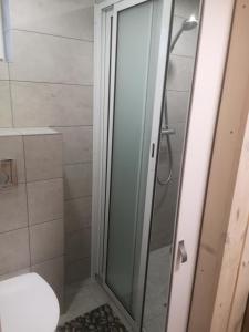 eine Dusche mit Glastür im Bad in der Unterkunft Verknės slėnis in Aukštadvaris