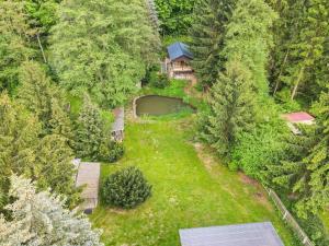 uma vista aérea de um pátio com uma casa em Tiny House am Teich em Garnsdorf