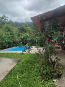 vistas a la piscina desde el patio en Pousadinha Ateliê da Maite, en Paraty