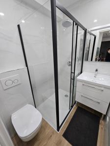 a bathroom with a shower and a toilet and a sink at Lovely appartement near sea and Monaco with free parking in Roquebrune-Cap-Martin