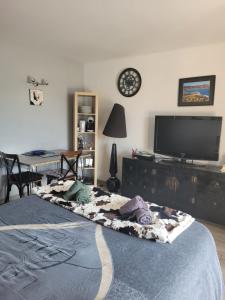 salon z łóżkiem i telewizorem w obiekcie studio agay a 2 pas des plages w miejscowości Saint-Raphaël