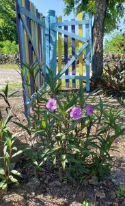Jardín al aire libre en Seaside Oasis