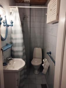 a small bathroom with a toilet and a sink at (Id022) Strandby Kirkevej 270 1 th in Esbjerg