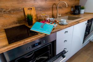 a kitchen with a counter top with a sink at Dusznickie Apartamenty Julia in Duszniki Zdrój