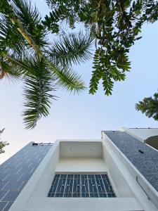 Green Villa في أودايبور: اطلاله على سطح منزل مع نخله