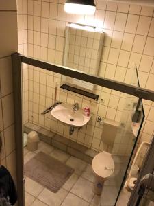 bagno con lavandino e servizi igienici di Hasen Apartment Lingen a Lingen