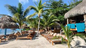 a beach with chaise lounges and palm trees at Coral Views Village - uMaMi in French Harbor