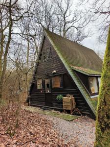 een zwart huis met een groen dak in het bos bij Woodhouse Durbuy nr. 141 in Durbuy