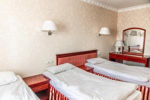 Gallery image of Royal Hotel and SPA Geneva in Truskavets