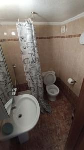 a bathroom with a sink and a toilet and a shower curtain at Φωτεινό κοντά στο κέντρο της πόλης in Thessaloniki