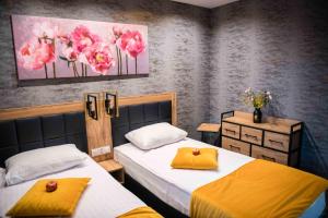 Apartments in Bukowina客房内的一张或多张床位