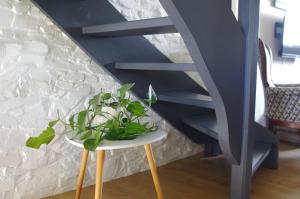 a plant on a table next to a staircase at Cosy ferme de village en baie du Mont Saint Michel in Vains