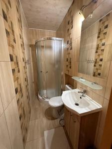 a bathroom with a shower and a toilet and a sink at Pokoje Gościnne U Babci in Zakopane