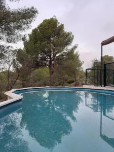 una piscina de agua con árboles en el fondo en Mazet pleine nature en Mouriès