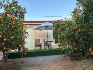 una casa con naranjos y una mesa con sombrilla en Naseem Country House, en Al Ula