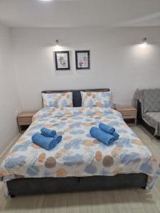 Ліжко або ліжка в номері Zed apartman Leskovac