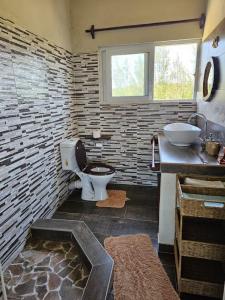 un bagno con un water e un lavandino di Chilled Vibes a Ponta Mamoli