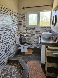 a bathroom with a toilet and a sink at Chilled Vibes in Ponta Mamoli