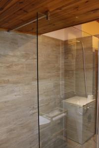 W łazience znajduje się prysznic ze szklanymi drzwiami. w obiekcie Cesa DOLOMITI w mieście Rocca Pietore