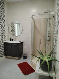 baño con ducha, lavabo y planta en Maison Diderot en Langres