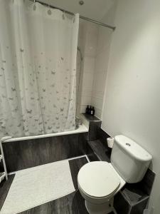 a bathroom with a white toilet and a shower at Manchester Cosy flat close to City Centre and City stadium in Manchester